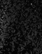 SEQUINS STRAIGHT LEG PANTALON PETITE BLACK