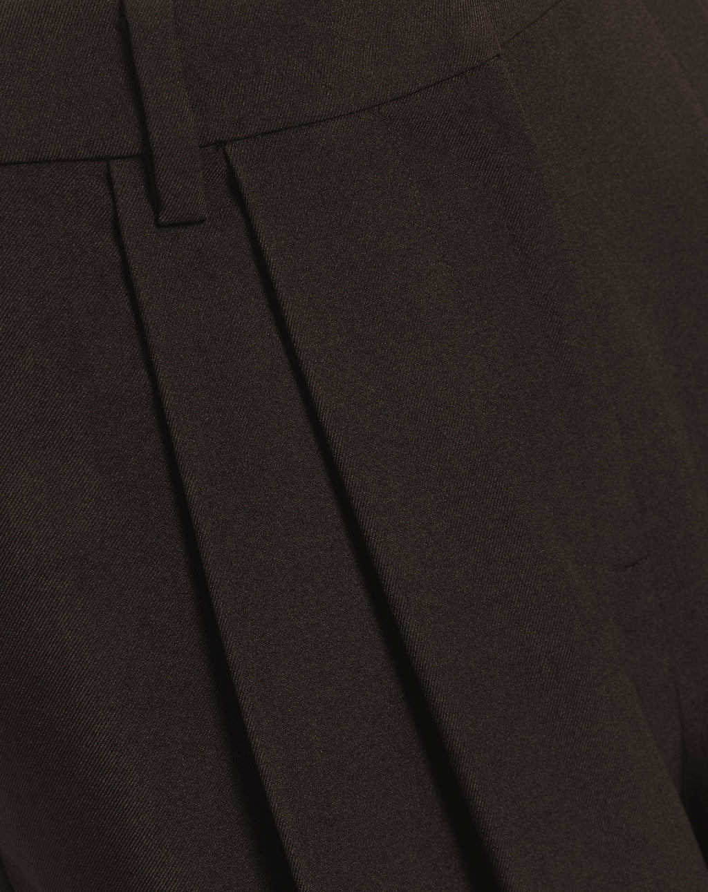LORNA PLEATED WIDE LEG PANTALON PETITE BROWN